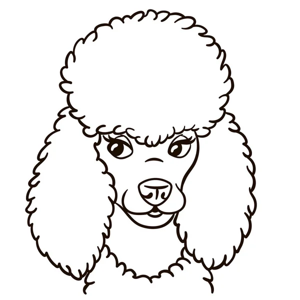 Poodle Dog Cartoon Illustration Cute Animal Print Shirts Mugs Totes — Image vectorielle