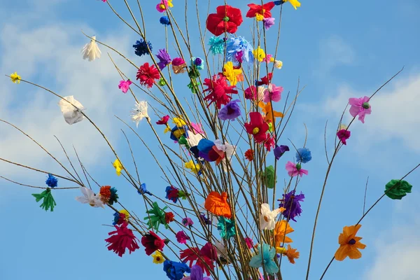 Takken van de papieren zakdoekje bloemen, verschillende kleuren van de bloemen. — Stockfoto