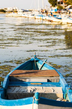Göl kenarında mavi ahşap kürekli tekneler.