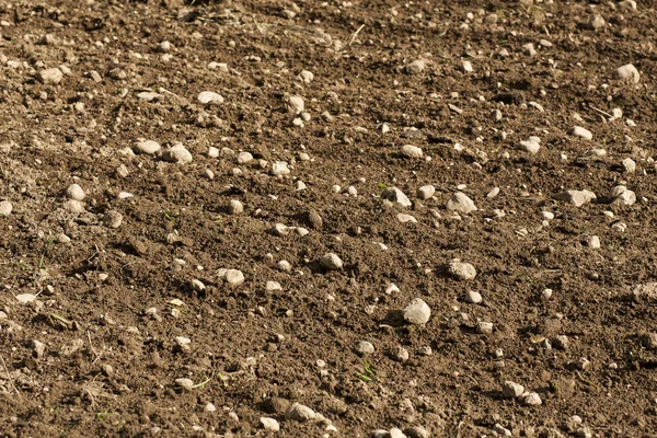 Gepflügtes Feld mit sichtbaren Steinen. — Stockfoto