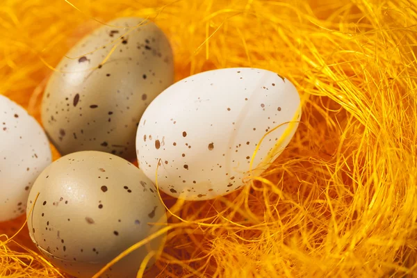 Ovos decorados em spots- símbolos de Páscoa . — Fotografia de Stock