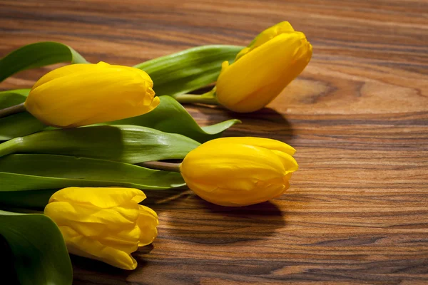 Ingerichte eieren en voorjaar bloemen tulpen - symbolen van Alarme — Stockfoto