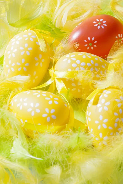 Decorated eggs and composition of feathers - symbols of Easte — Stock Photo, Image