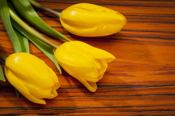 Ingerichte eieren en voorjaar bloemen tulpen - symbolen van Alarme — Stockfoto