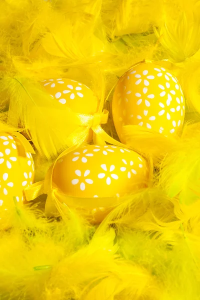 Decorated eggs and composition of feathers - symbols of Easte — Stock Photo, Image