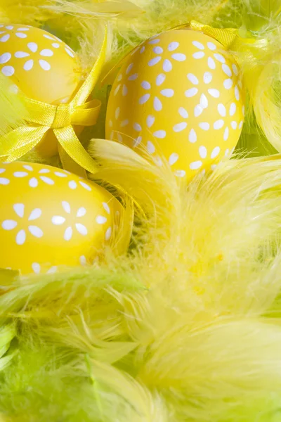 Decorated eggs and composition of feathers - symbols of Easte — Stock Photo, Image