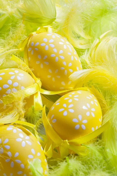 Decorated eggs and composition of feathers - symbols of Easte — Stock Photo, Image