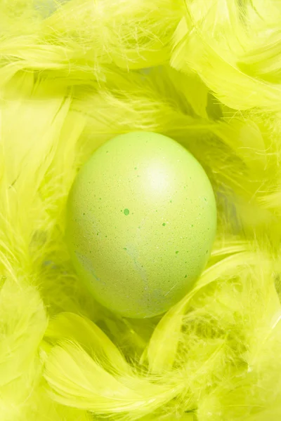 Painted  eggs - spring Easter postcard. — Stock Photo, Image