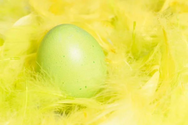 Painted  eggs - spring Easter postcard. — Stock Photo, Image