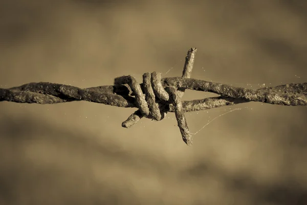 Vecchio filo spinato arrugginito . — Foto Stock
