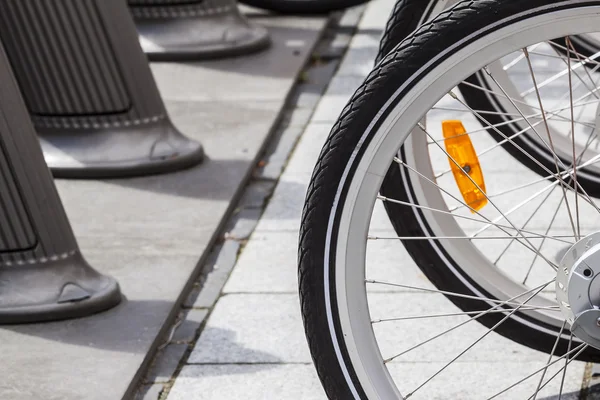 Bicycle wheel. — Stock Photo, Image