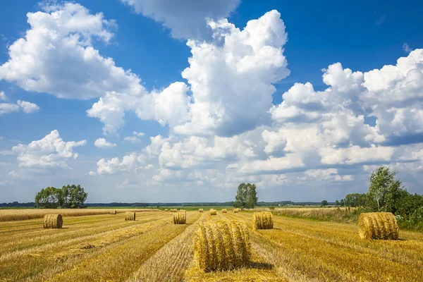 Strohballen zusammengerollt, die Erntestoppeln — Stockfoto