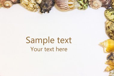 Frame of shells for your text