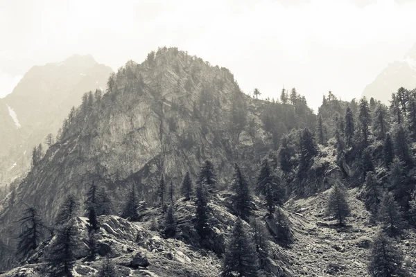 Berglandschap — Stockfoto