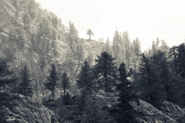 Berglandschaft — Stockfoto