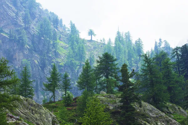 Berglandschap — Stockfoto