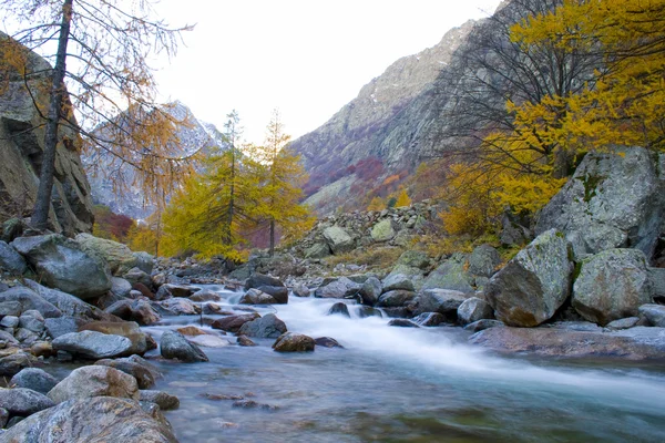 Sonbahar — Stok fotoğraf