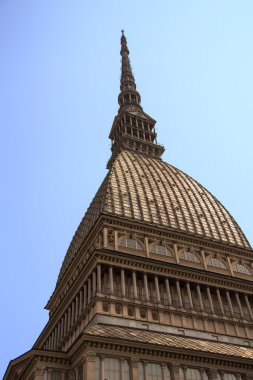 köstebek antonelliana