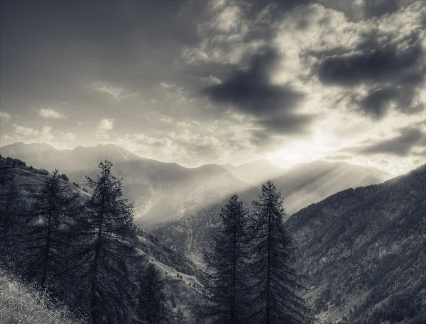 De natuur op de Italiaanse Alpen — Stockfoto