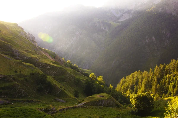 De natuur op de Italiaanse Alpen — Stockfoto