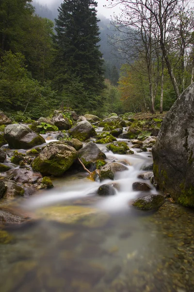 Sonbahar boyunca nehir pesio, İtalya — Stok fotoğraf