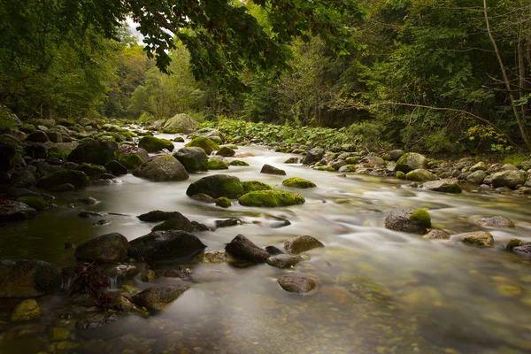 Outono ao longo do rio Pesio, Itália — Fotografia de Stock