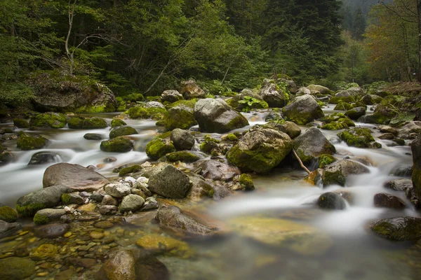 Sonbahar boyunca nehir pesio, İtalya — Stok fotoğraf