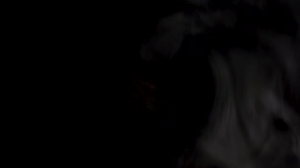 Boulette Riz Tangyuan Fraîche Chaude Dans Une Cuillère Blanche Sur — Video