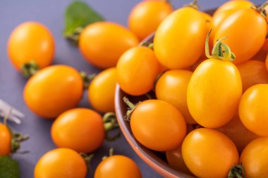 Taze kiraz domatesleri ahşap bir kasede mavi arka planda izole edilmiş, yakın plan, boşluğu kopyala