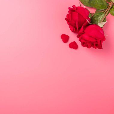 Sevgililer Günü hediyesi olarak güllerin en üst görüntüsü.