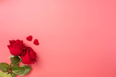 Sevgililer Günü hediyesi olarak güllerin en üst görüntüsü.