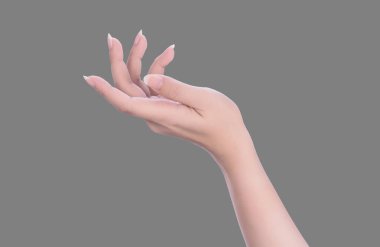 Güzel kadın elleri standart nötr gri arka planda izole edilmiş, sanal bir şey ya da el manikürü bakımı kavramı, yakın çekim..