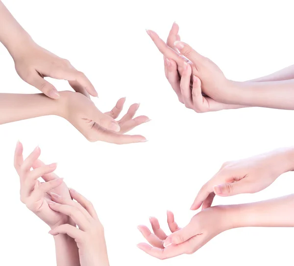 Güzel Zarif Yetişkin Kadın Elleri Beyaz Arka Planda Izole Edilmiş — Stok fotoğraf