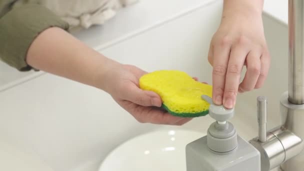 Close Woman Housekeeper Doing Dishes Home Kitchen Using Wash Sponge — 비디오