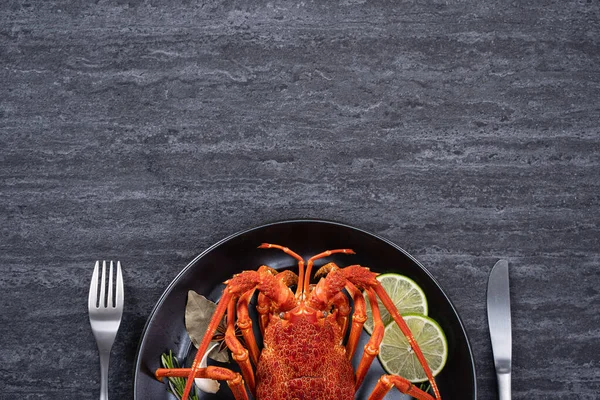 Top View Cooked Boiled Lobster Delicious Dinner Seafood Meal Set — Foto Stock