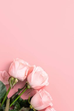 Arkaplanda pembe gül çiçeği olan Sevgililer Günü tasarımı konsepti