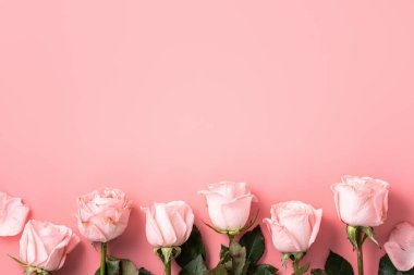 Arkaplanda pembe gül çiçeği olan Sevgililer Günü tasarımı konsepti