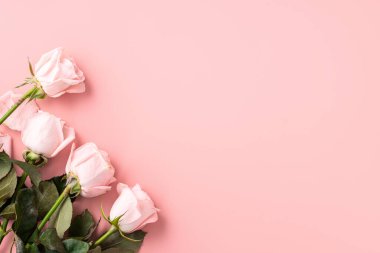 Arkaplanda pembe gül çiçeği olan Sevgililer Günü tasarımı konsepti