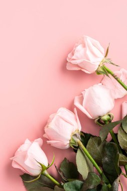 Arkaplanda pembe gül çiçeği olan Sevgililer Günü tasarımı konsepti