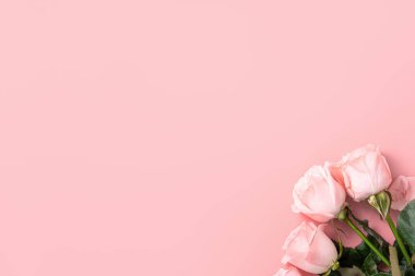 Arkaplanda pembe gül çiçeği olan Sevgililer Günü tasarımı konsepti