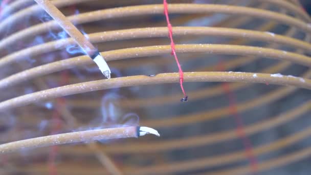 澳门庙宇内烧焦的盘香 是中国传统的祭神文化习俗 — 图库视频影像