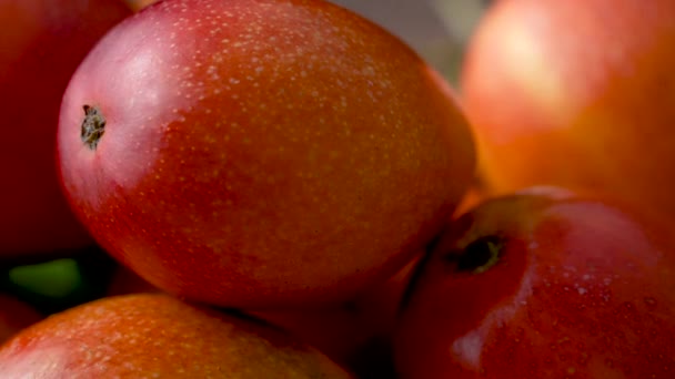 Gewürzte Frische Mango Früchte Auf Holzschneidebrett Mit Sonnenlicht Und Blattschatten — Stockvideo