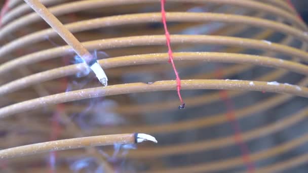 마카오의 사원에서는 불타는 코일로 소용돌이치는 숭배하는 — 비디오