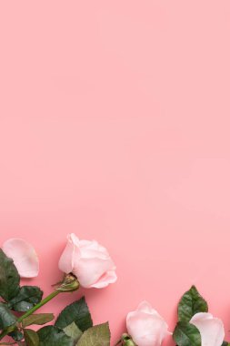 Anneler Günü tasarım arka planında pembe gül çiçekli arka plan