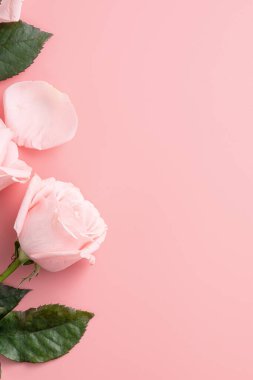 Anneler Günü tasarım arka planında pembe gül çiçekli arka plan