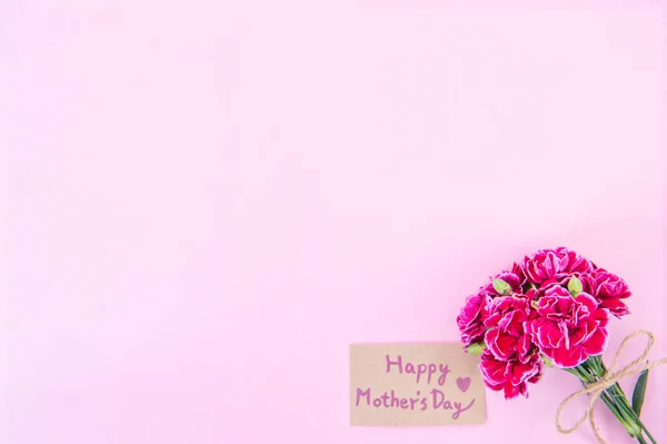 May Mothers Day Idea Concept Photography Beautiful Blooming Carnations Tied — Stock Photo, Image