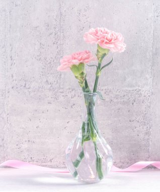 Anneler günü hediye kutusu sürprizi fotoğrafçılığı ister - Gri duvar kağıdı tasarımında izole edilmiş pembe kurdele kutulu güzel karanfiller, kapat, kopyala, taklit et