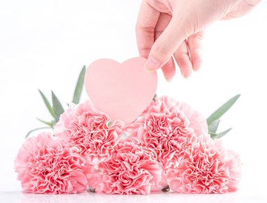 Zarafetin en üst görüntüsü, parlak beyaz arka planda izole edilmiş pembe renkli karanfiller, anneler günü, anneler günü, tasarım konsepti, kapatın, boşluğu kopyalayın.