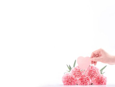 Zarafetin en üst görüntüsü, parlak beyaz arka planda izole edilmiş pembe renkli karanfiller, anneler günü, anneler günü, tasarım konsepti, kapatın, boşluğu kopyalayın.