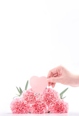 Zarafetin en üst görüntüsü, parlak beyaz arka planda izole edilmiş pembe renkli karanfiller, anneler günü, anneler günü, tasarım konsepti, kapatın, boşluğu kopyalayın.